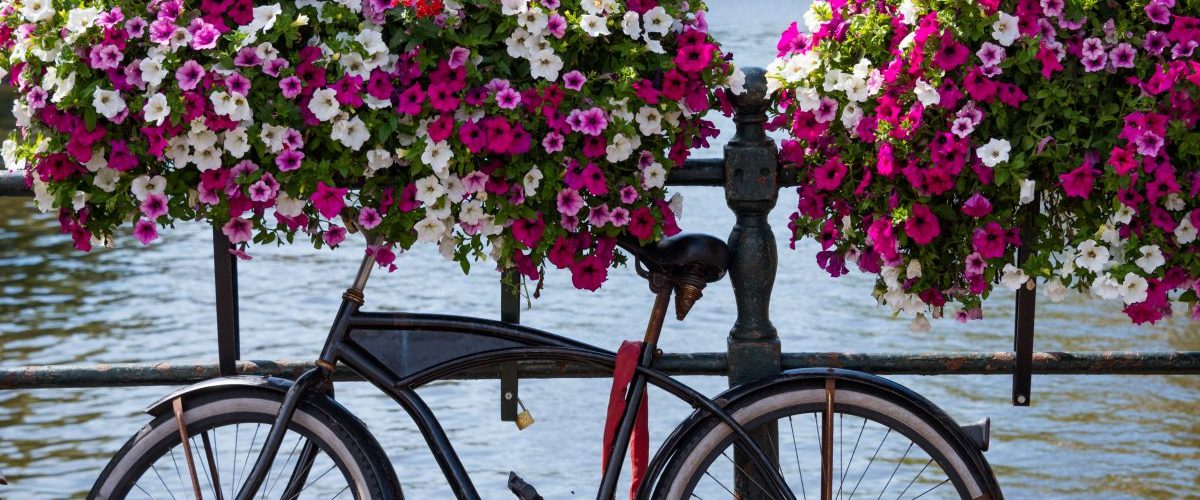 Traditional Dutch bike parked on an Amsterdam canal